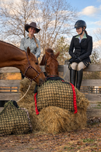 Original Hangover Haynet