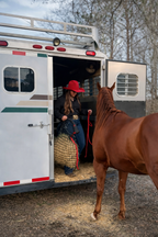 Original Hangover Haynet