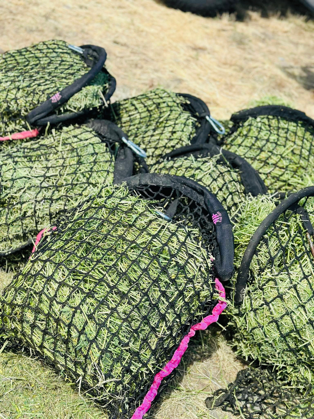 Original Hangover Haynet