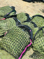 Original Hangover Haynet