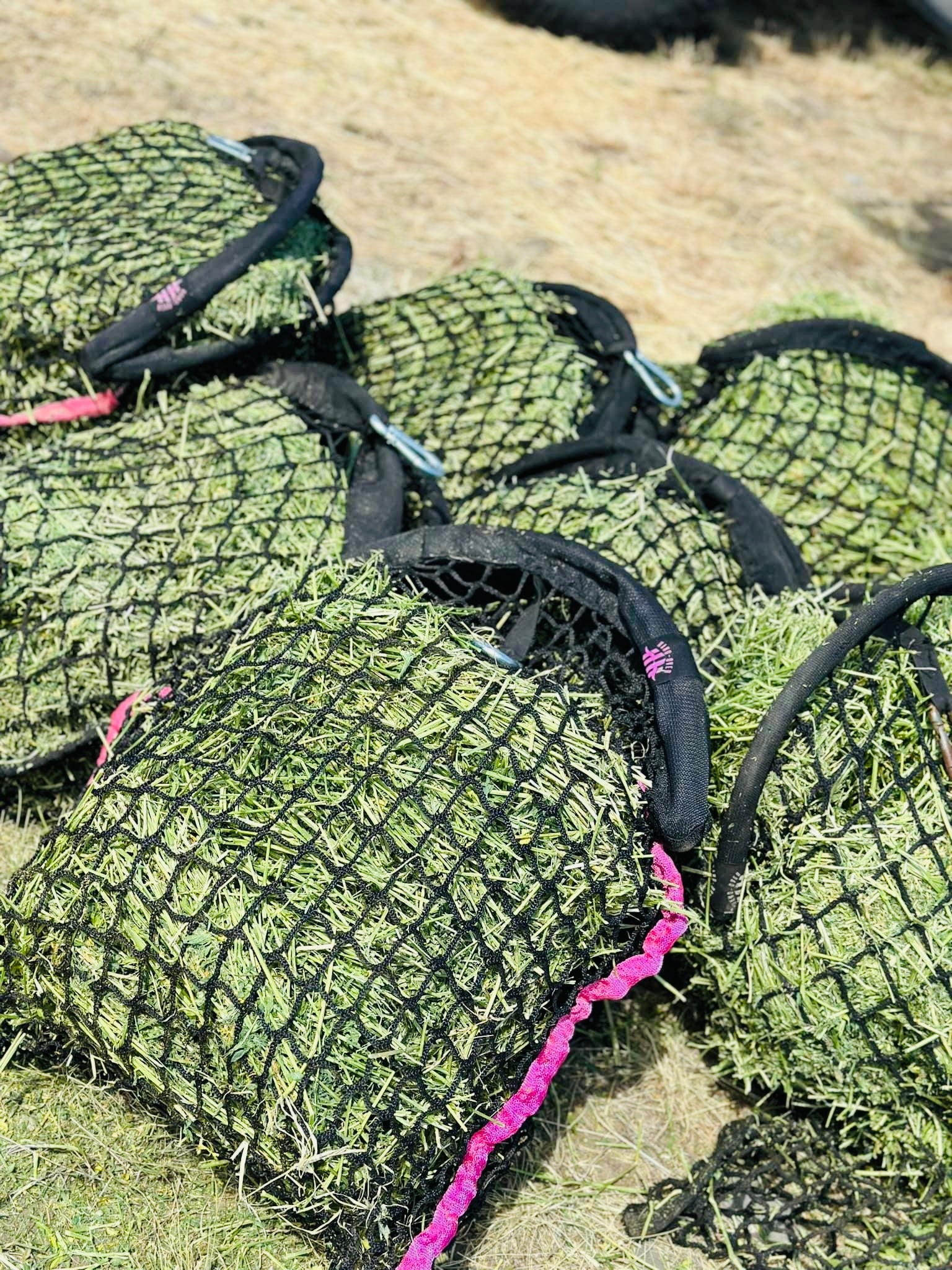 Original Hangover Haynet